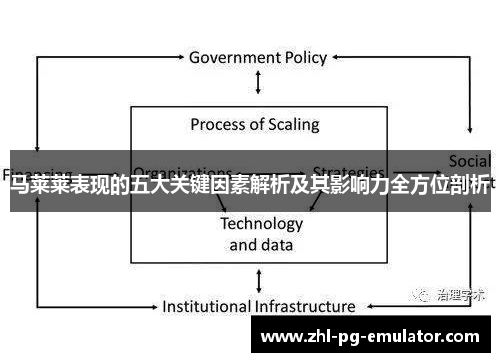 马莱莱表现的五大关键因素解析及其影响力全方位剖析