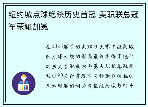 纽约城点球绝杀历史首冠 美职联总冠军荣耀加冕 纽约城点球绝杀历史首冠 美职联总冠军荣耀加冕