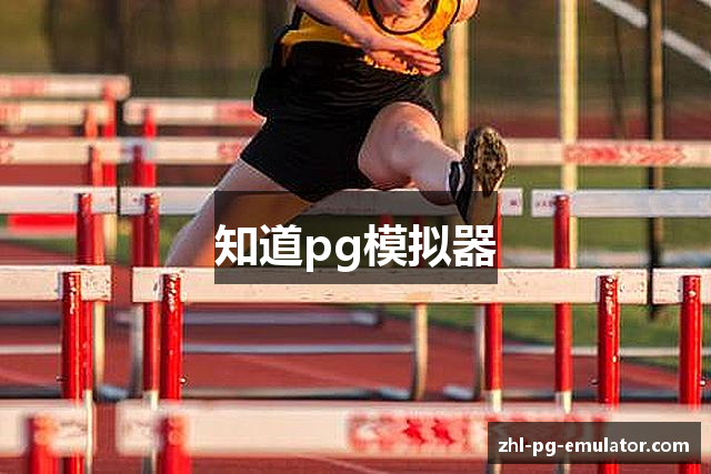知道pg模拟器